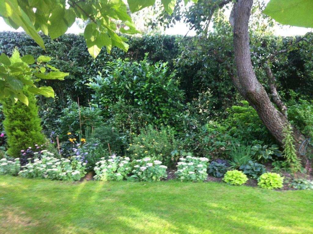 Bonningtons Stansted Self Catering Hotel Stansted Mountfitchet Værelse billede